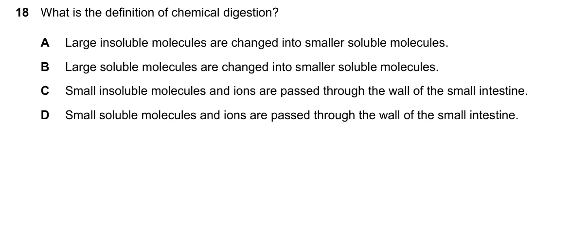 Question 18, March 2024, 0610 Paper 12