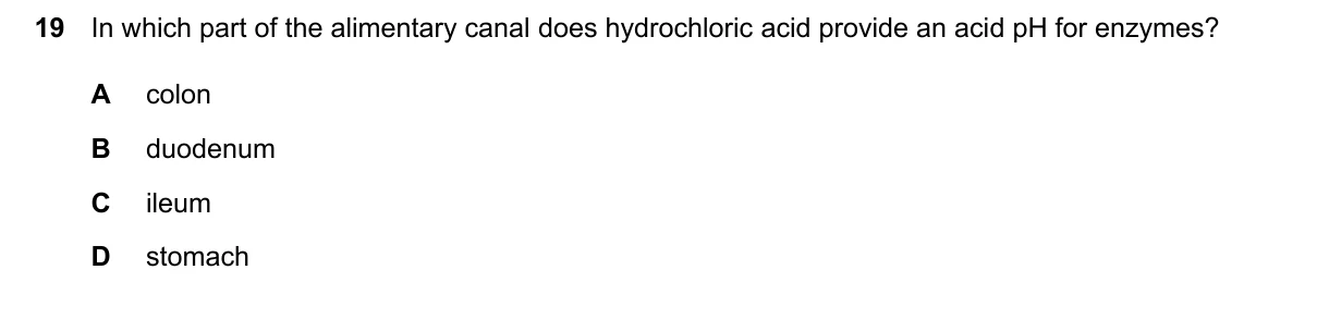 Question 19, March 2024, 0610 Paper 12