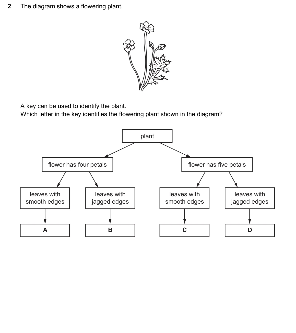 Question 2, March 2024, 0610 Paper 12