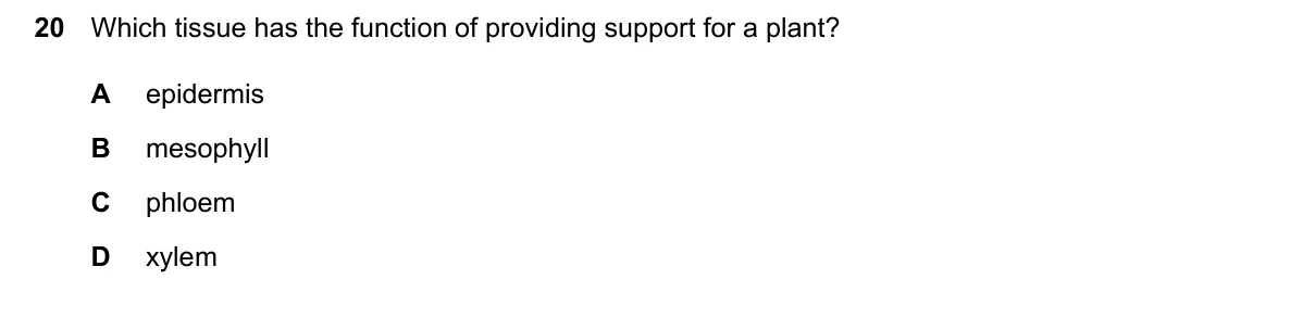 Question 20, March 2024, 0610 Paper 12