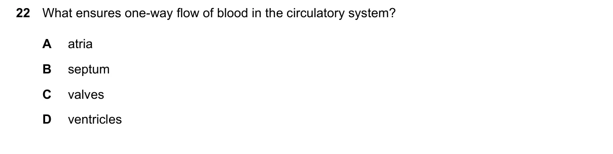 Question 22, March 2024, 0610 Paper 12