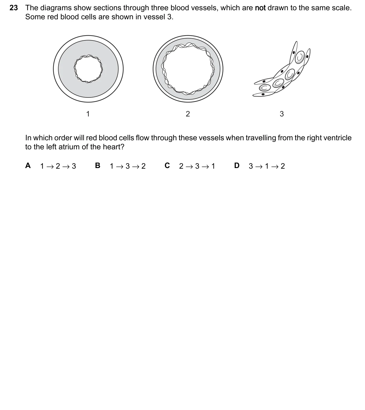 Question 23, March 2024, 0610 Paper 12