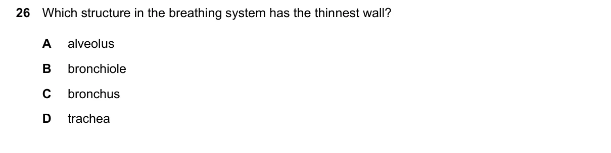 Question 26, March 2024, 0610 Paper 12