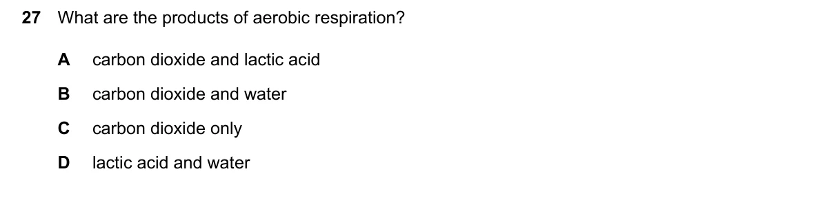 Question 27, March 2024, 0610 Paper 12