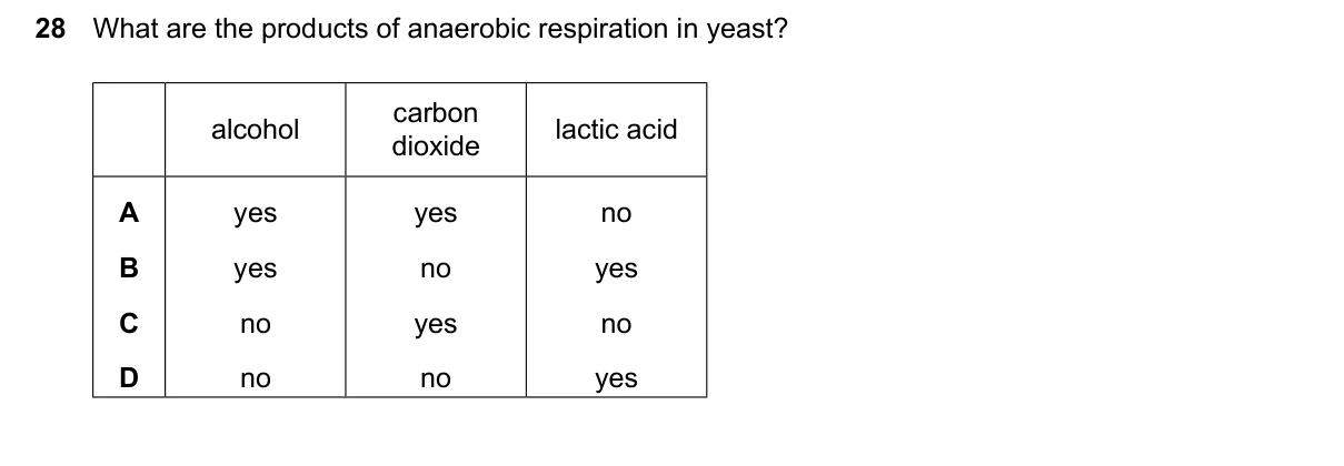 Question 28, March 2024, 0610 Paper 12