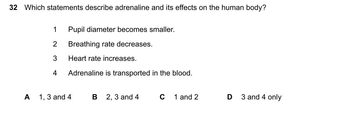 Question 32, March 2024, 0610 Paper 12