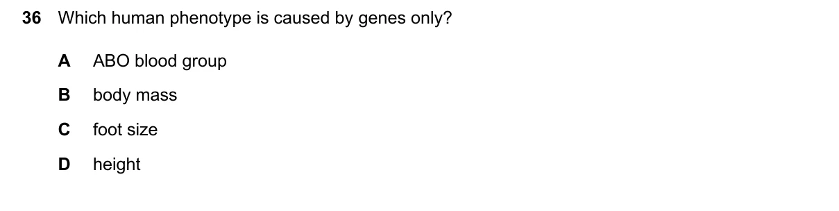 Question 36, March 2024, 0610 Paper 12