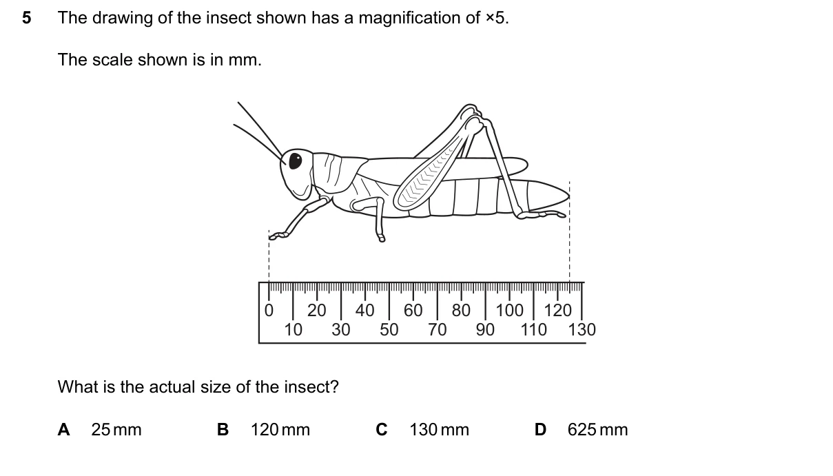 Question 5, March 2024, 0610 Paper 12