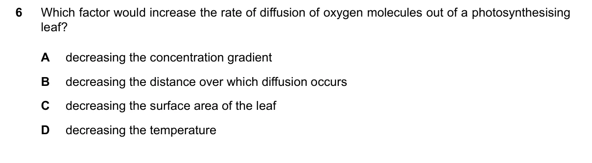 Question 6, March 2024, 0610 Paper 12