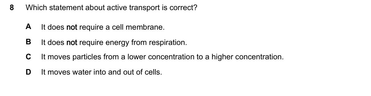 Question 8, March 2024, 0610 Paper 12