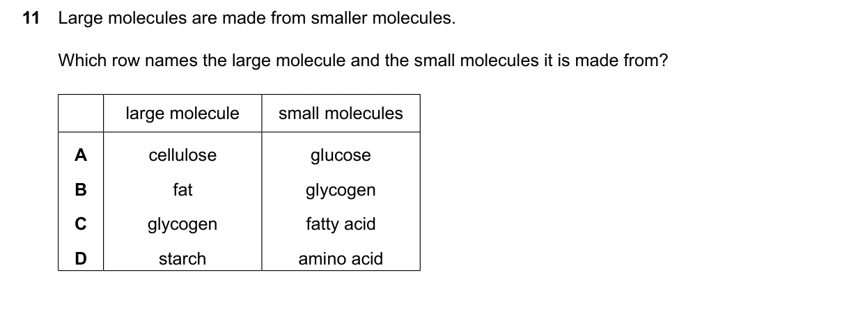 Question 11, March 2024, 0610 Paper 22