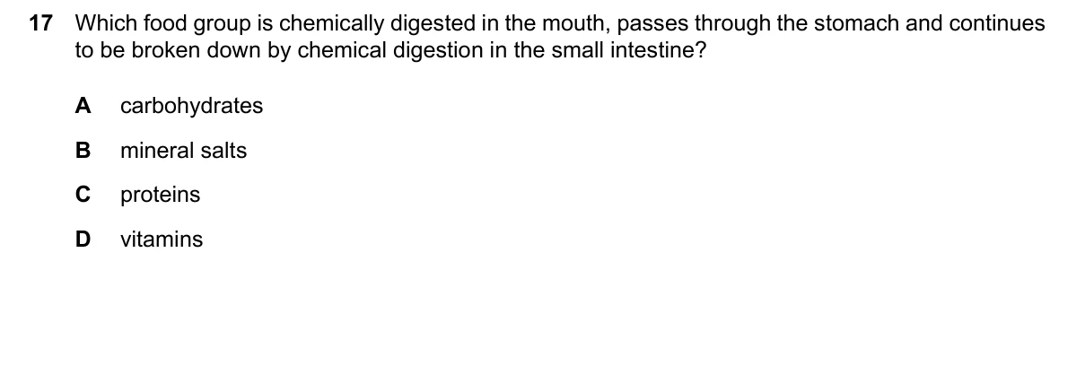 Question 17, March 2024, 0610 Paper 22