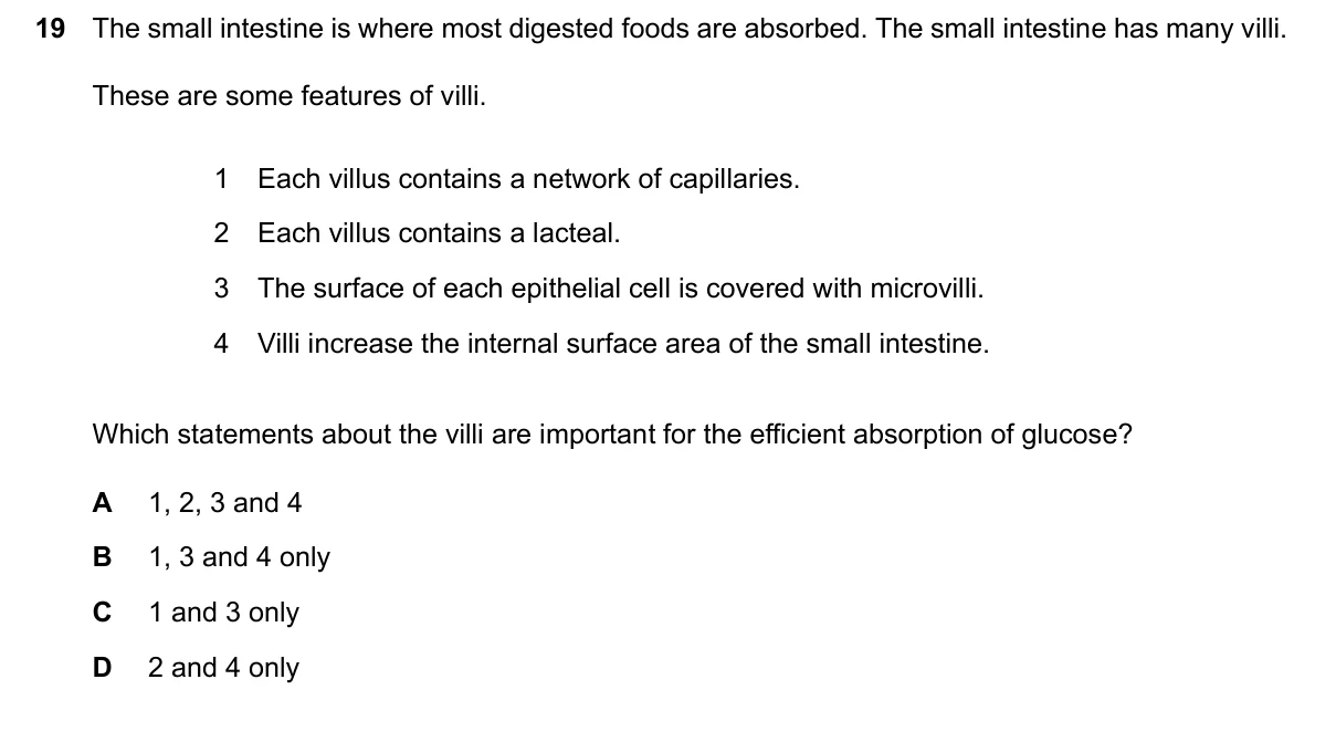 Question 19, March 2024, 0610 Paper 22