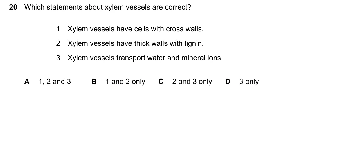 Question 20, March 2024, 0610 Paper 22
