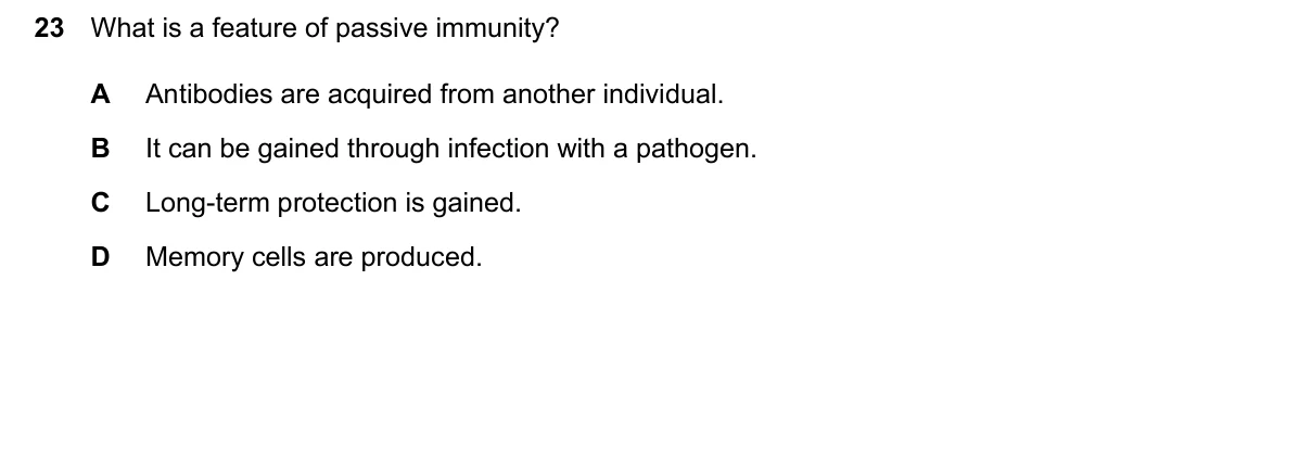 Question 23, March 2024, 0610 Paper 22