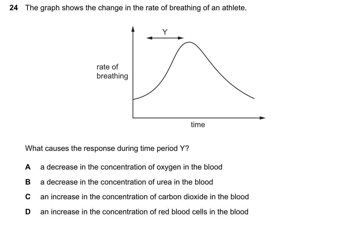 Question 24, March 2024, 0610 Paper 22