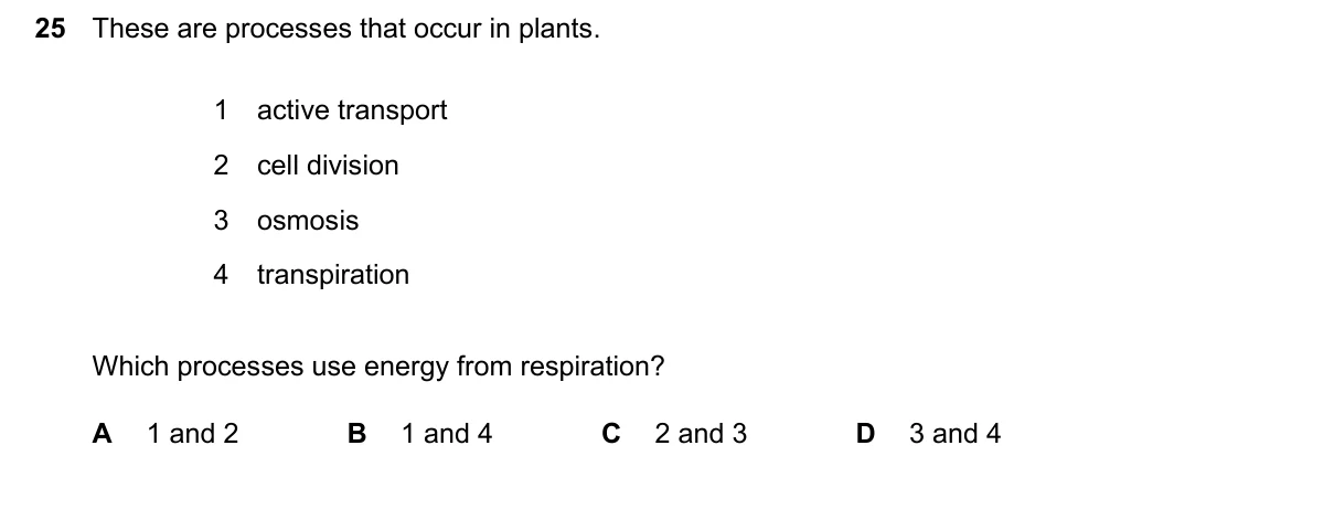 Question 25, March 2024, 0610 Paper 22
