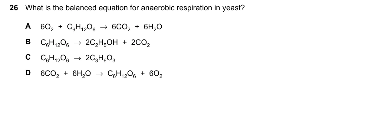 Question 26, March 2024, 0610 Paper 22