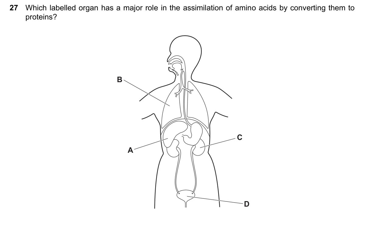 Question 27, March 2024, 0610 Paper 22