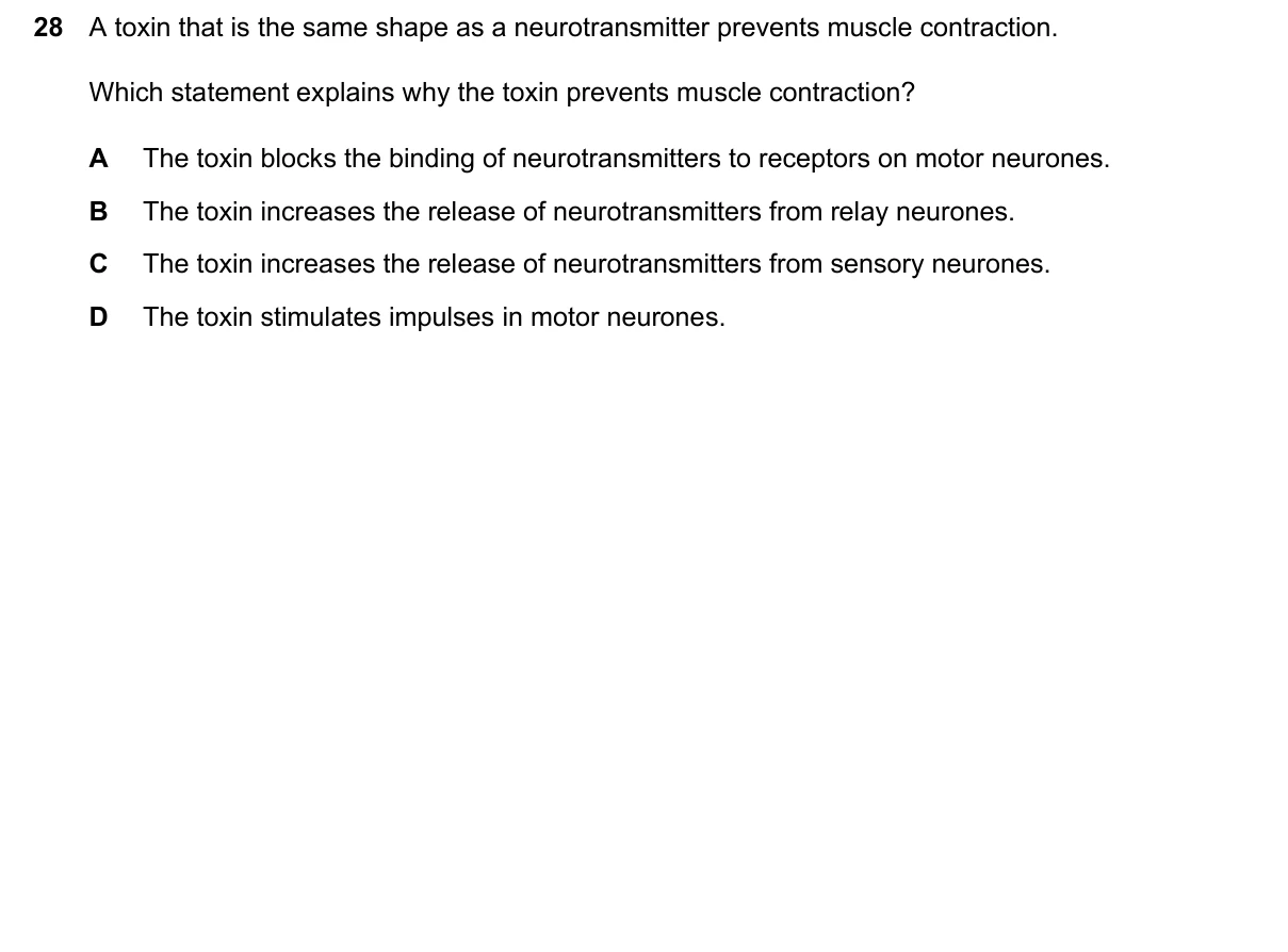 Question 28, March 2024, 0610 Paper 22