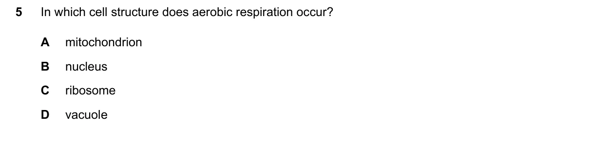 Question 5, March 2024, 0610 Paper 22
