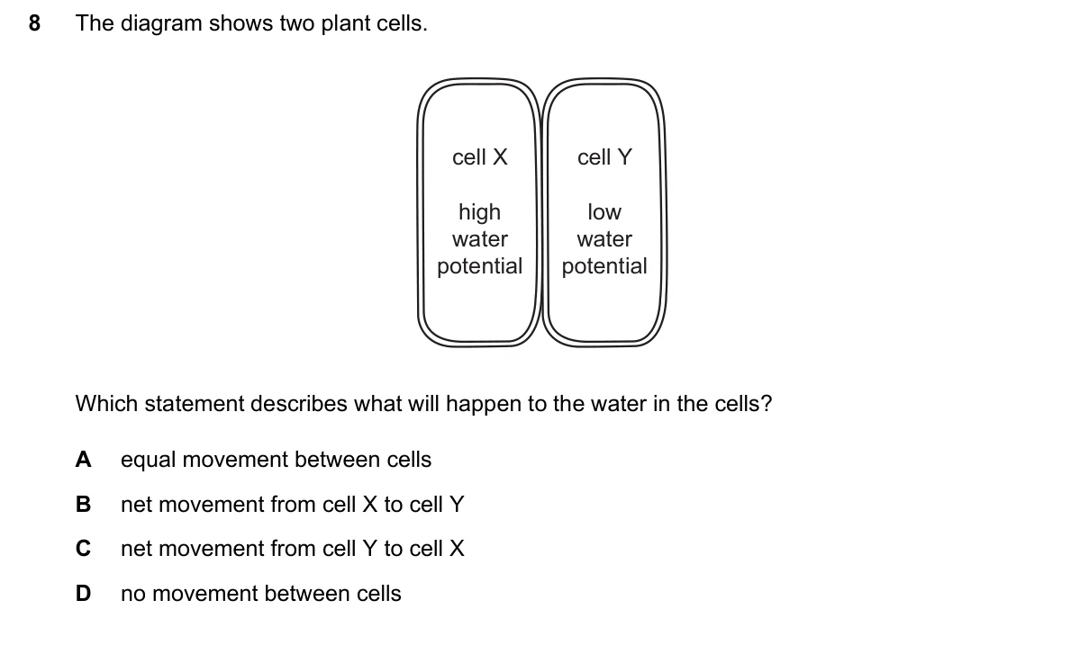 Question 8, March 2024, 0610 Paper 22