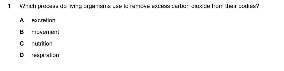 Question 1, June 2024, 0610 Paper 11