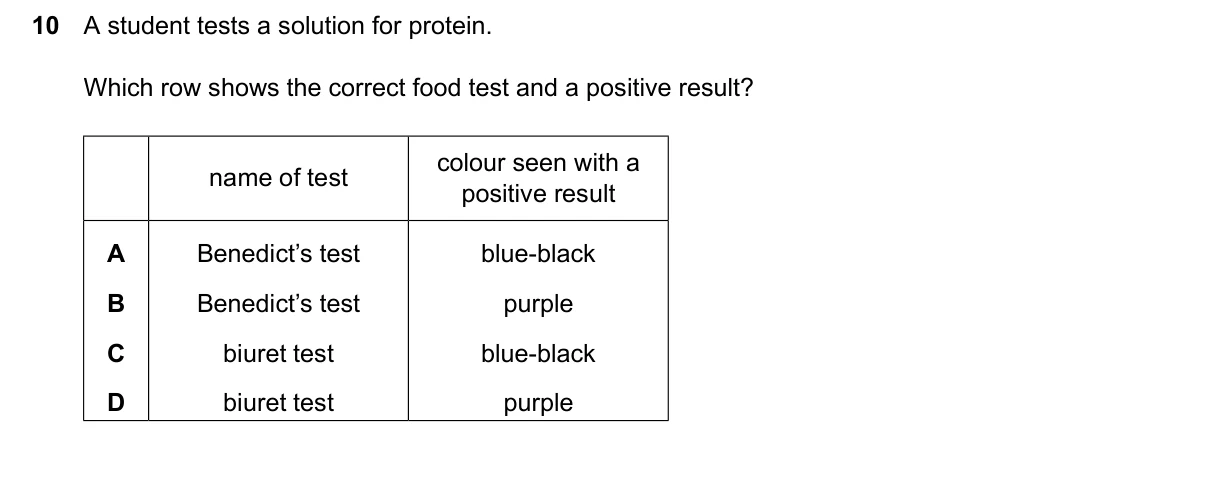 Question 10, June 2024, 0610 Paper 11