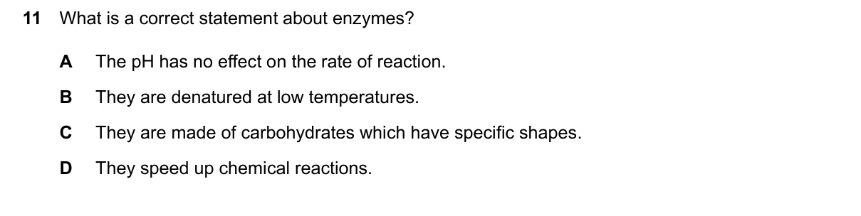 Question 11, June 2024, 0610 Paper 11