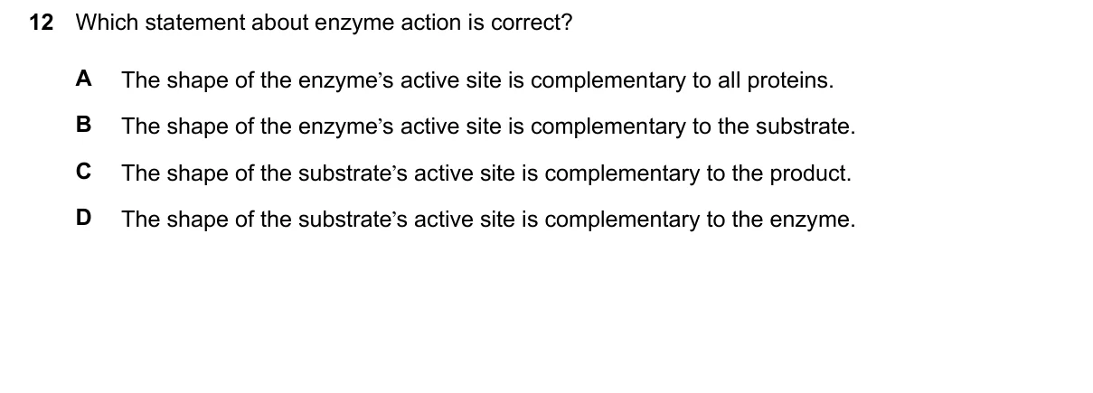 Question 12, June 2024, 0610 Paper 11