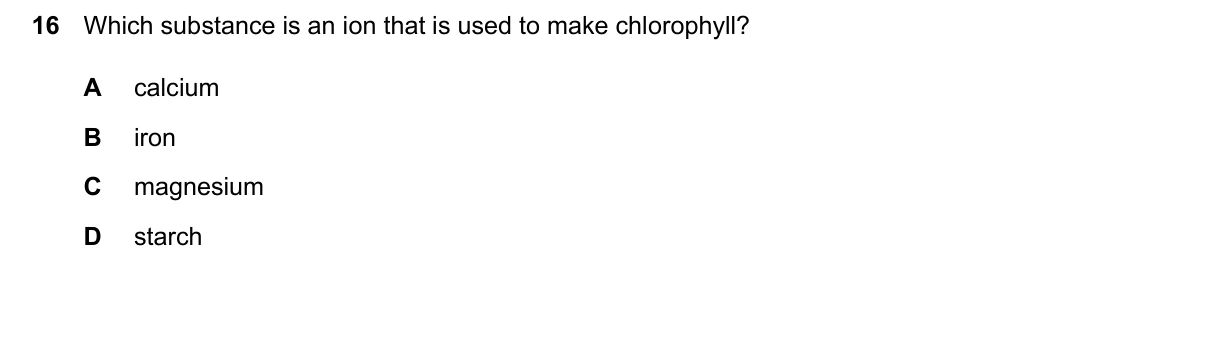 Question 16, June 2024, 0610 Paper 11