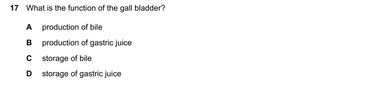 Question 17, June 2024, 0610 Paper 11