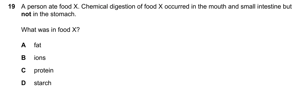 Question 19, June 2024, 0610 Paper 11