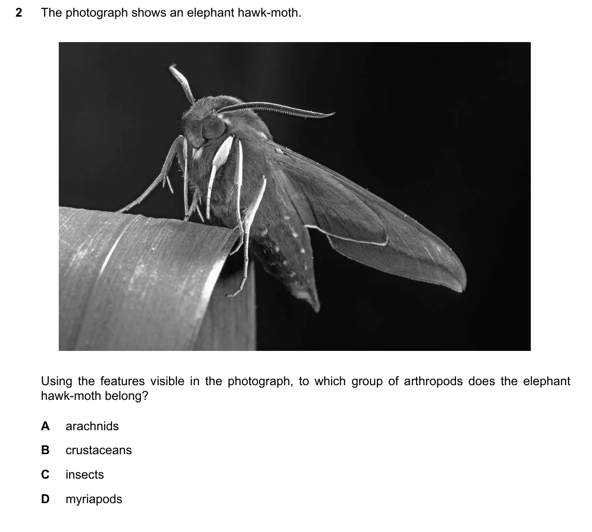 Question 2, June 2024, 0610 Paper 11