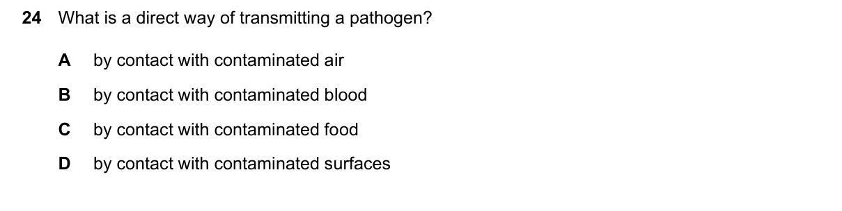 Question 24, June 2024, 0610 Paper 11