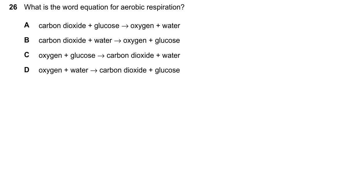 Question 26, June 2024, 0610 Paper 11