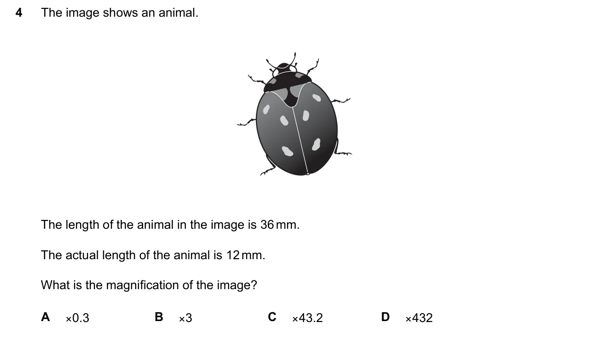 Question 4, June 2024, 0610 Paper 11