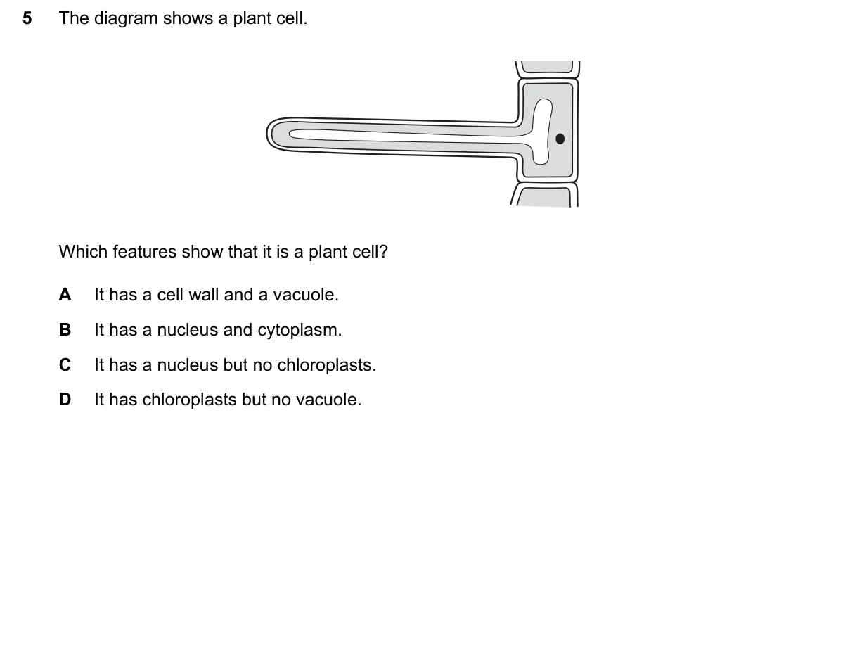Question 5, June 2024, 0610 Paper 11