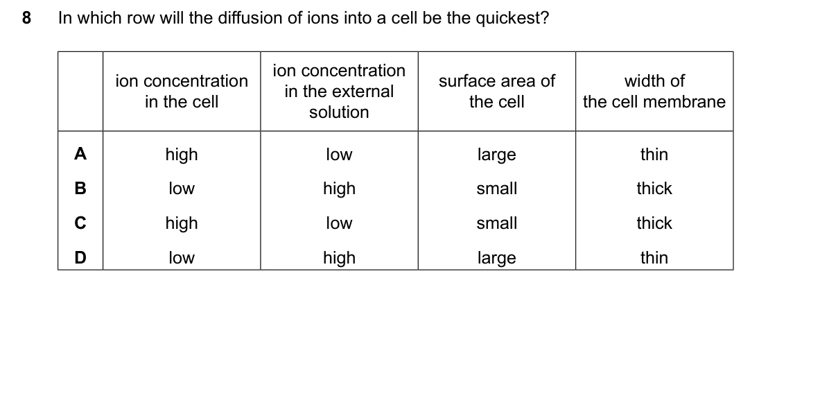 Question 8, June 2024, 0610 Paper 11