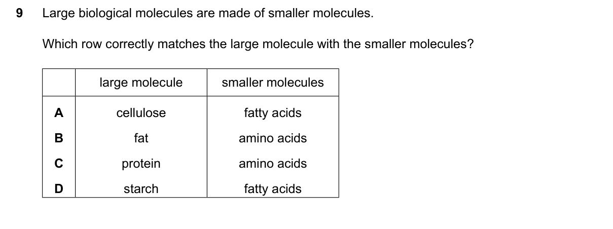 Question 9, June 2024, 0610 Paper 11