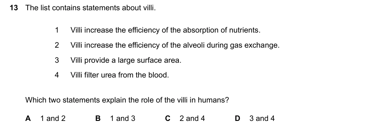 Question 13, June 2024, 0610 Paper 21