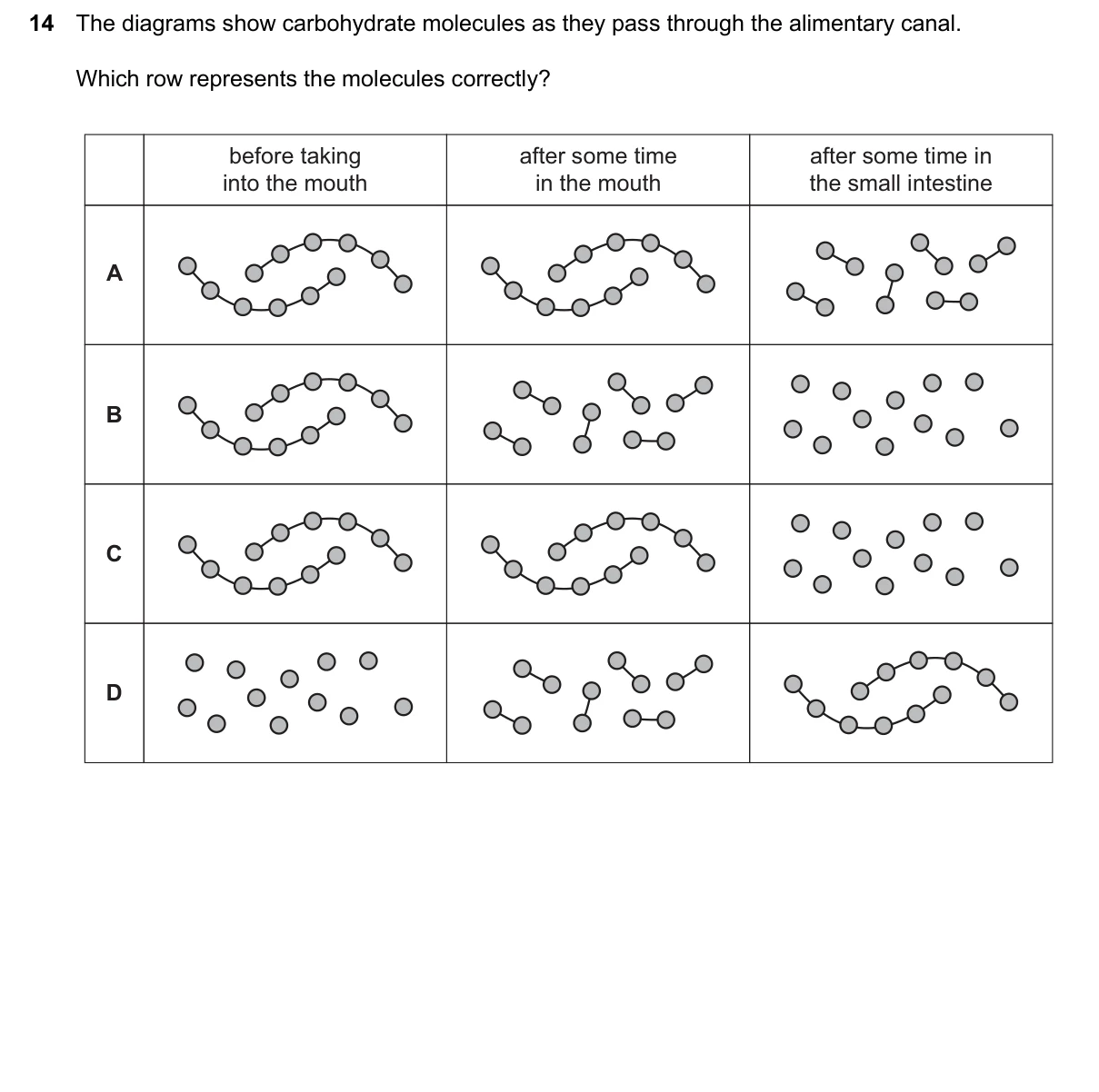 Question 14, June 2024, 0610 Paper 21