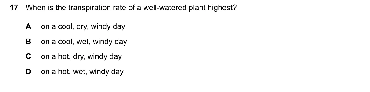 Question 17, June 2024, 0610 Paper 21