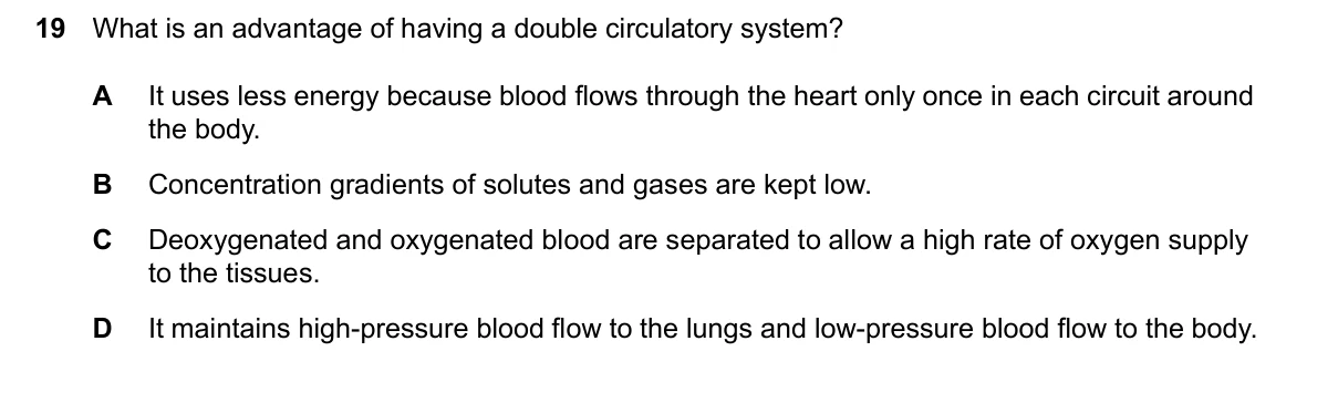 Question 19, June 2024, 0610 Paper 21