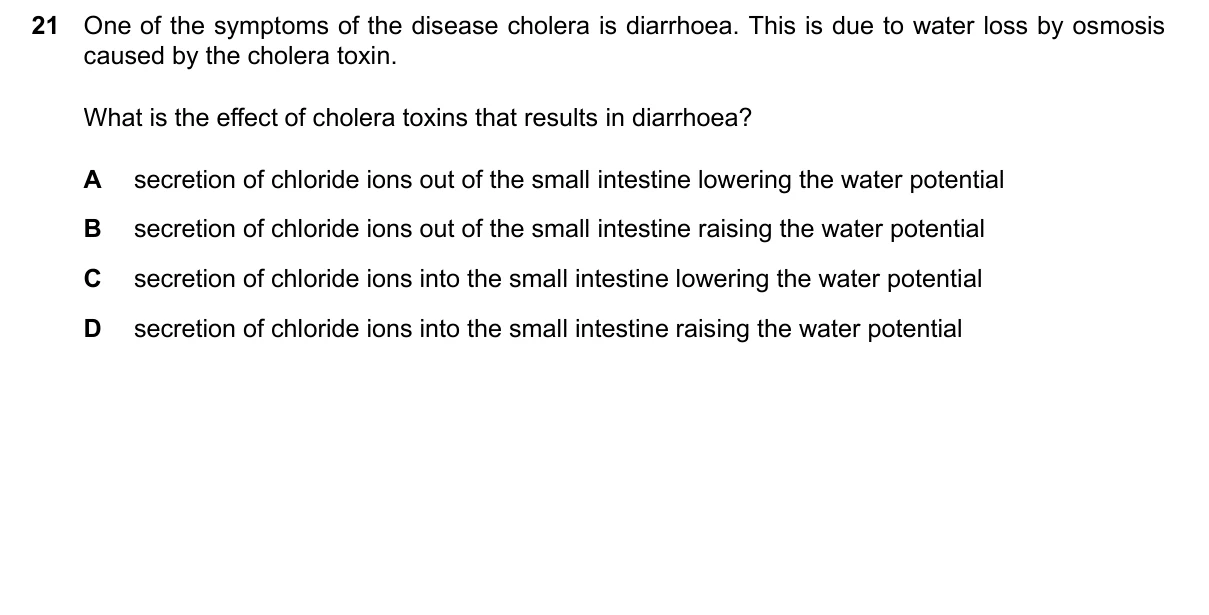 Question 21, June 2024, 0610 Paper 21