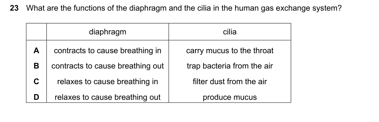 Question 23, June 2024, 0610 Paper 21