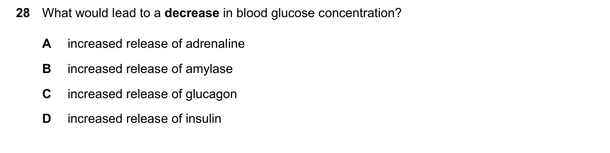 Question 28, June 2024, 0610 Paper 21