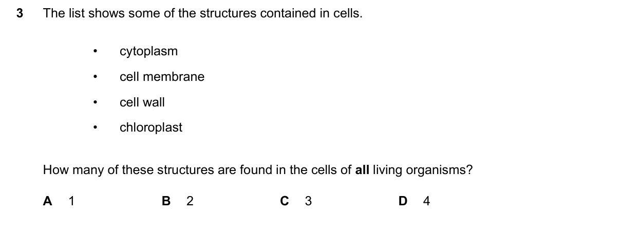 Question 3, June 2024, 0610 Paper 21