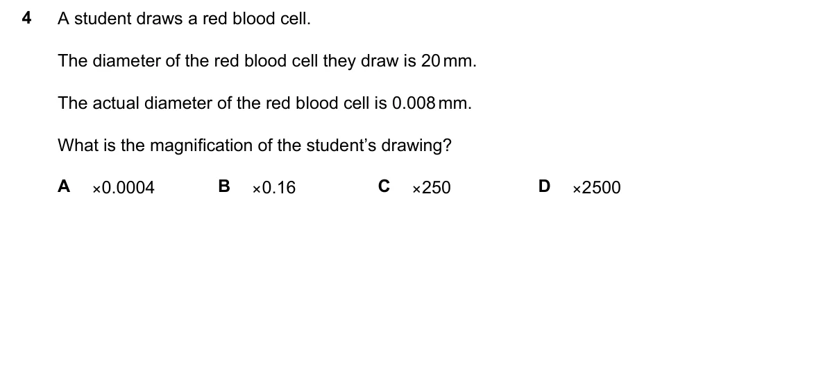 Question 4, June 2024, 0610 Paper 21