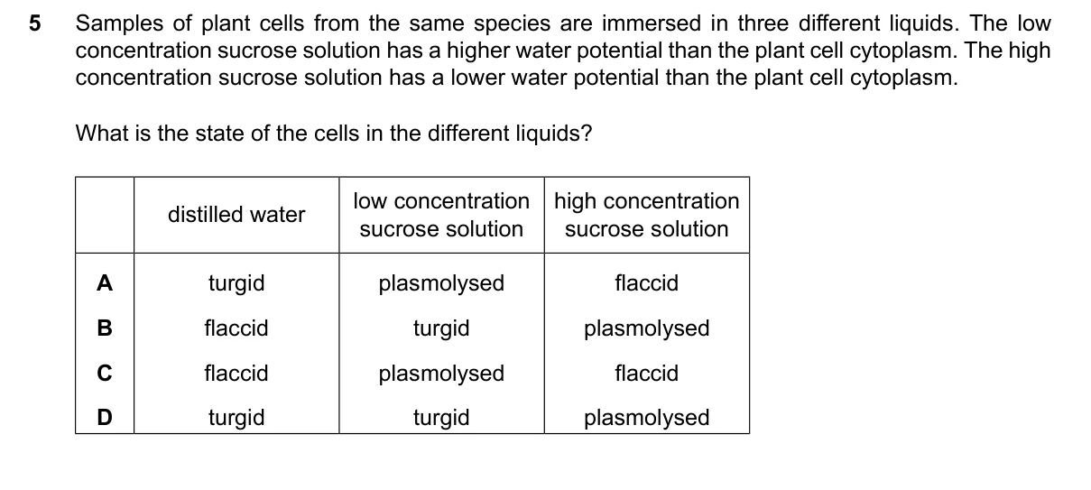 Question 5, June 2024, 0610 Paper 21